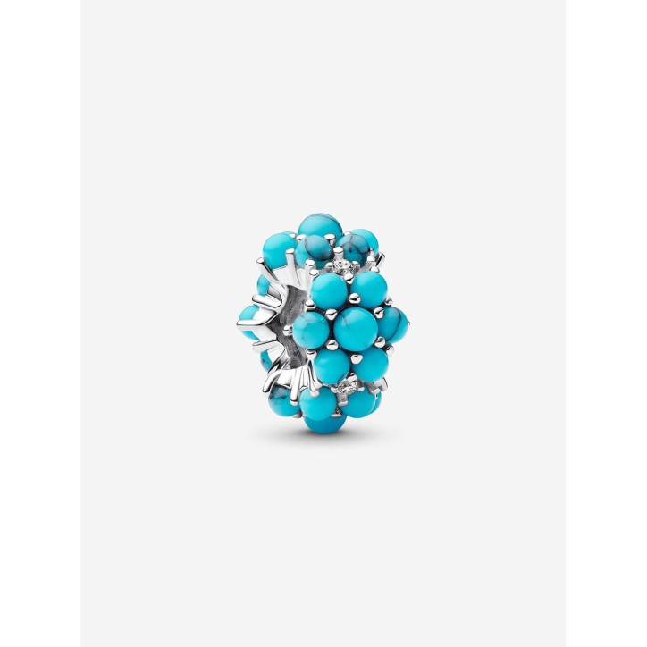 Charm Océano de Color Turquesa - 793897C02