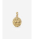 Charm Medallón León - 763974C01 Charm Medallón León - 763974C01