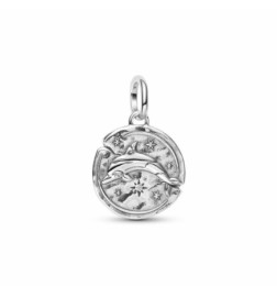 Charm Medallón Delfín Pandora - 794807C01
