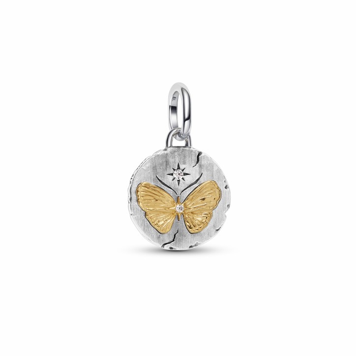 Charm Colgante Medallón con Mariposa Pandora - 764803C01