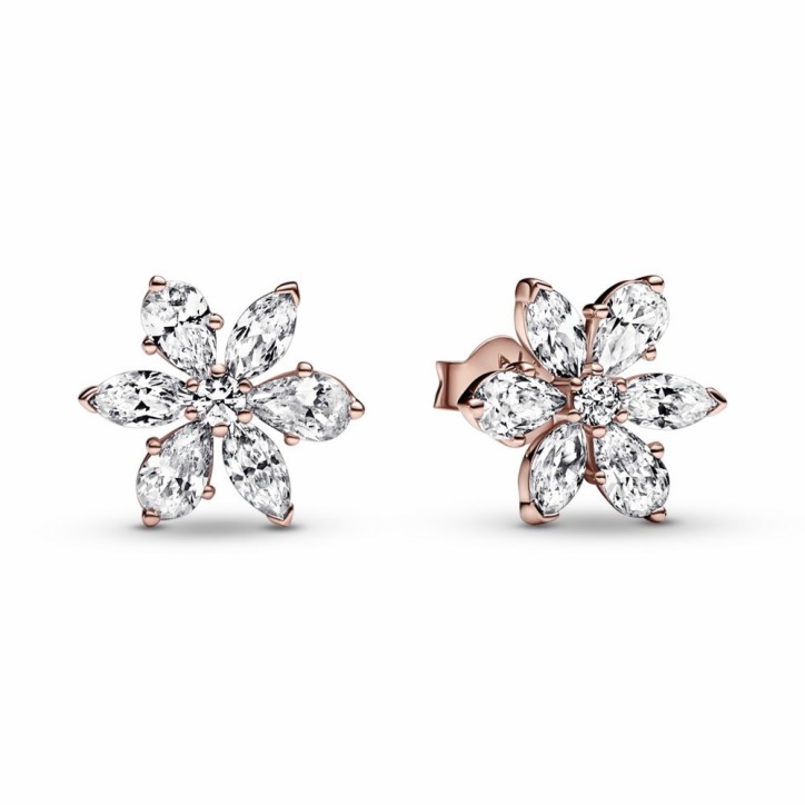 Pendientes de Botón Herbario Brillante Pandora - 282407C01